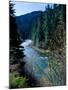 River flowing through a forest, North Umpqua River, Umpqua National Forest, Douglas County, Oreg...-null-Mounted Photographic Print