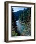 River flowing through a forest, North Umpqua River, Umpqua National Forest, Douglas County, Oreg...-null-Framed Photographic Print