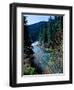 River flowing through a forest, North Umpqua River, Umpqua National Forest, Douglas County, Oreg...-null-Framed Photographic Print