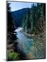 River flowing through a forest, North Umpqua River, Umpqua National Forest, Douglas County, Oreg...-null-Mounted Photographic Print