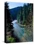River flowing through a forest, North Umpqua River, Umpqua National Forest, Douglas County, Oreg...-null-Stretched Canvas