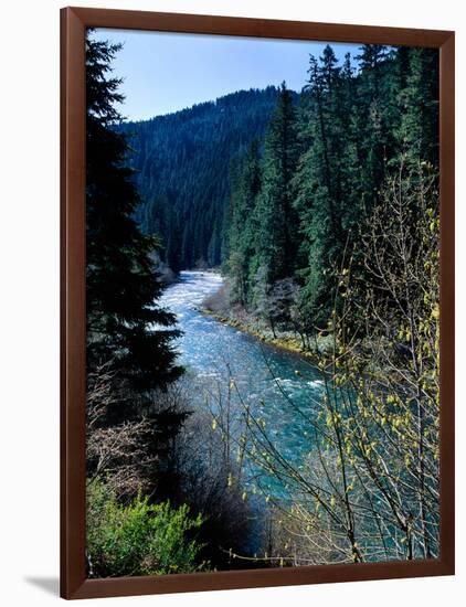 River flowing through a forest, North Umpqua River, Umpqua National Forest, Douglas County, Oreg...-null-Framed Photographic Print