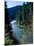 River flowing through a forest, North Umpqua River, Umpqua National Forest, Douglas County, Oreg...-null-Mounted Photographic Print