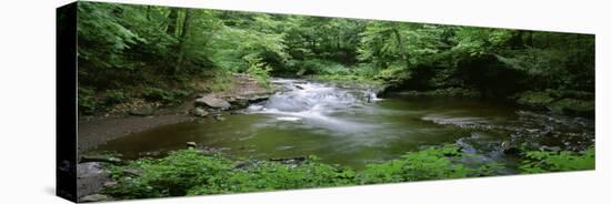 River Flowing through a Forest, Ricketts Glen State Park, Pennsylvania, USA-null-Stretched Canvas