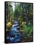 River flowing through a forest, South Fork, Upper Rogue River, Rogue River-null-Framed Stretched Canvas