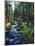 River flowing through a forest, South Fork, Upper Rogue River, Rogue River-null-Mounted Photographic Print