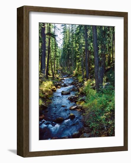 River flowing through a forest, South Fork, Upper Rogue River, Rogue River-null-Framed Photographic Print