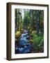 River flowing through a forest, South Fork, Upper Rogue River, Rogue River-null-Framed Photographic Print