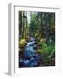 River flowing through a forest, South Fork, Upper Rogue River, Rogue River-null-Framed Photographic Print