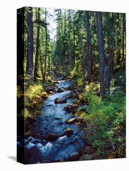 River flowing through a forest, South Fork, Upper Rogue River, Rogue River-null-Stretched Canvas