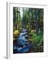River flowing through a forest, South Fork, Upper Rogue River, Rogue River-null-Framed Photographic Print