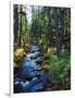 River flowing through a forest, South Fork, Upper Rogue River, Rogue River-null-Framed Photographic Print