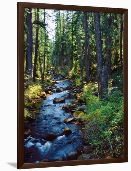 River flowing through a forest, South Fork, Upper Rogue River, Rogue River-null-Framed Photographic Print