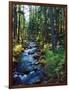 River flowing through a forest, South Fork, Upper Rogue River, Rogue River-null-Framed Photographic Print