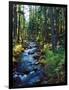 River flowing through a forest, South Fork, Upper Rogue River, Rogue River-null-Framed Photographic Print