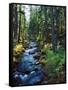 River flowing through a forest, South Fork, Upper Rogue River, Rogue River-null-Framed Stretched Canvas