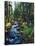 River flowing through a forest, South Fork, Upper Rogue River, Rogue River-null-Stretched Canvas