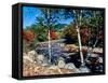 River flowing through a forest, Swift River, Kancamagus Highway, White Mountain National Forest...-null-Framed Stretched Canvas