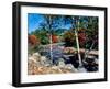 River flowing through a forest, Swift River, Kancamagus Highway, White Mountain National Forest...-null-Framed Photographic Print