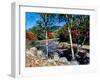 River flowing through a forest, Swift River, Kancamagus Highway, White Mountain National Forest...-null-Framed Photographic Print