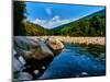 River flowing through a forest, Swift River, Kancamagus Highway, White Mountain National Forest...-null-Mounted Photographic Print