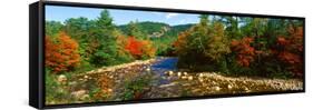 River Flowing Through a Forest, Swift River, White Mountain National Forest, Carroll County-null-Framed Stretched Canvas