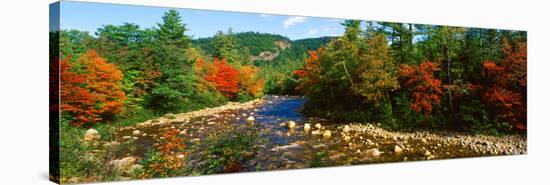 River Flowing Through a Forest, Swift River, White Mountain National Forest, Carroll County-null-Stretched Canvas