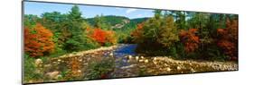 River Flowing Through a Forest, Swift River, White Mountain National Forest, Carroll County-null-Mounted Photographic Print