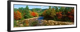 River Flowing Through a Forest, Swift River, White Mountain National Forest, Carroll County-null-Framed Premium Photographic Print