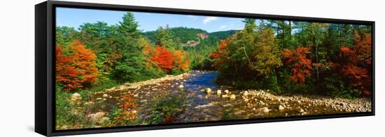 River Flowing Through a Forest, Swift River, White Mountain National Forest, Carroll County-null-Framed Stretched Canvas