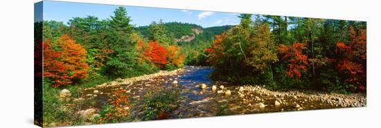 River Flowing Through a Forest, Swift River, White Mountain National Forest, Carroll County-null-Stretched Canvas