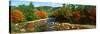 River Flowing Through a Forest, Swift River, White Mountain National Forest, Carroll County-null-Stretched Canvas