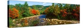 River Flowing Through a Forest, Swift River, White Mountain National Forest, Carroll County-null-Stretched Canvas