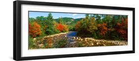 River Flowing Through a Forest, Swift River, White Mountain National Forest, Carroll County-null-Framed Premium Photographic Print