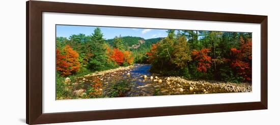River Flowing Through a Forest, Swift River, White Mountain National Forest, Carroll County-null-Framed Photographic Print