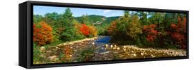 River Flowing Through a Forest, Swift River, White Mountain National Forest, Carroll County-null-Framed Stretched Canvas