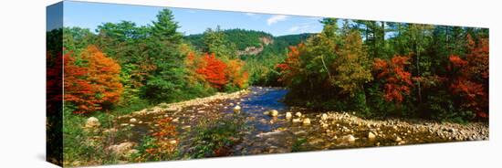 River Flowing Through a Forest, Swift River, White Mountain National Forest, Carroll County-null-Stretched Canvas