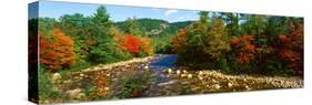 River Flowing Through a Forest, Swift River, White Mountain National Forest, Carroll County-null-Stretched Canvas