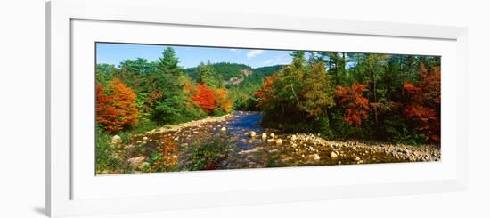 River Flowing Through a Forest, Swift River, White Mountain National Forest, Carroll County-null-Framed Photographic Print