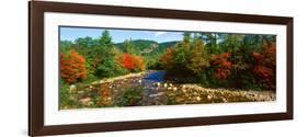 River Flowing Through a Forest, Swift River, White Mountain National Forest, Carroll County-null-Framed Photographic Print