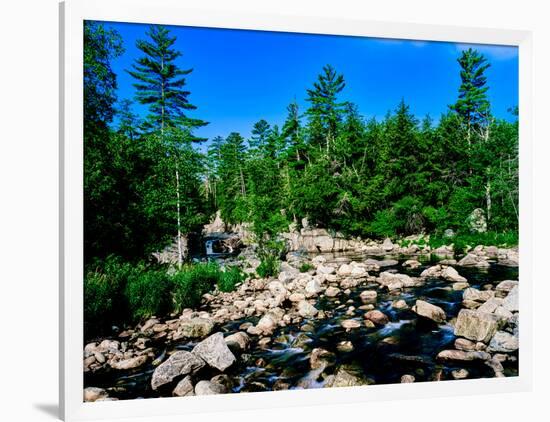 River flowing through a forest, West Branch Ausable River, Adirondack Mountains, New York State...-null-Framed Photographic Print