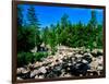 River flowing through a forest, West Branch Ausable River, Adirondack Mountains, New York State...-null-Framed Photographic Print