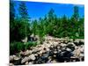 River flowing through a forest, West Branch Ausable River, Adirondack Mountains, New York State...-null-Mounted Photographic Print