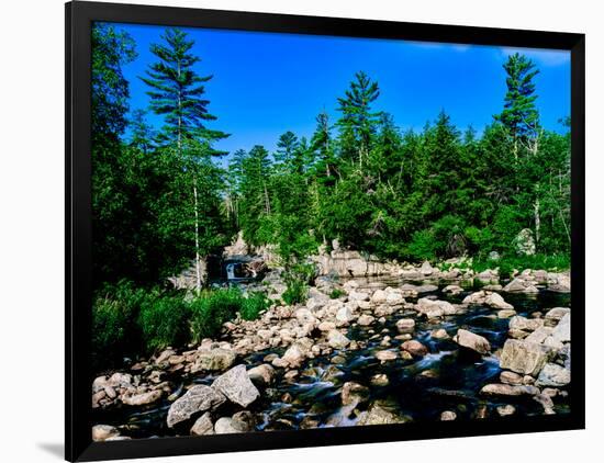 River flowing through a forest, West Branch Ausable River, Adirondack Mountains, New York State...-null-Framed Photographic Print