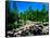 River flowing through a forest, West Branch Ausable River, Adirondack Mountains, New York State...-null-Framed Stretched Canvas