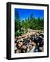 River flowing through a forest, West Branch Ausable River, Adirondack Mountains, New York State...-null-Framed Photographic Print