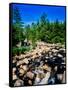 River flowing through a forest, West Branch Ausable River, Adirondack Mountains, New York State...-null-Framed Stretched Canvas