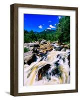 River flowing through a forest, West Branch Ausable River, Adirondack Mountains, New York State...-null-Framed Photographic Print