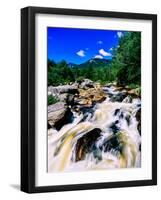 River flowing through a forest, West Branch Ausable River, Adirondack Mountains, New York State...-null-Framed Photographic Print