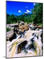 River flowing through a forest, West Branch Ausable River, Adirondack Mountains, New York State...-null-Mounted Photographic Print